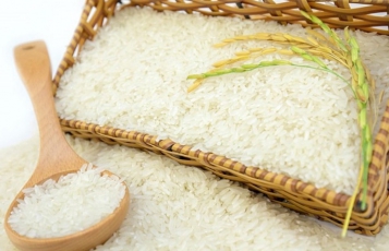 Giá lúa gạo hôm nay 25/11/2023: Xuất khẩu gạo dự kiến tăng mạnh